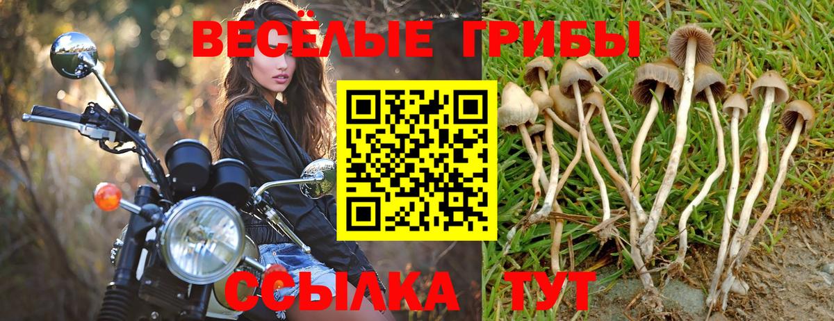 Псилоцибиновые грибы ЛСД  Галлюциногенные грибы Magic Shrooms  Вход с VPN  Артём 