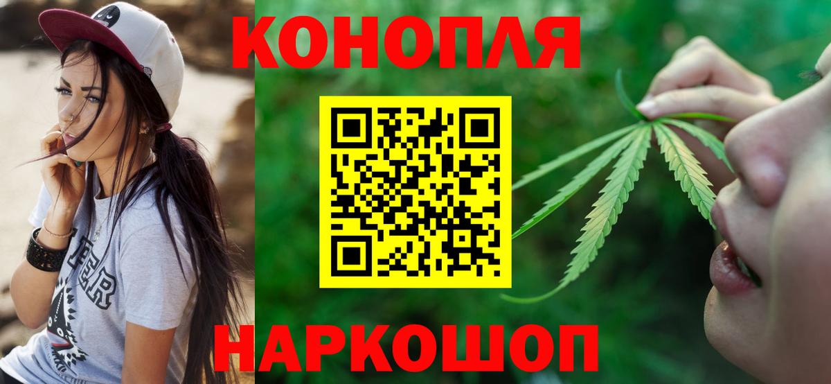 Конопля ГИДРОПОН Артём
