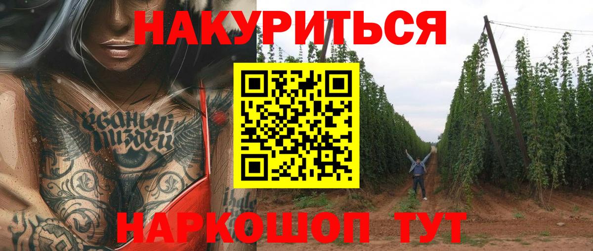 Артём  Бошки марихуана Amnesia  Бошки Шишки планчик  Вход с VPN 